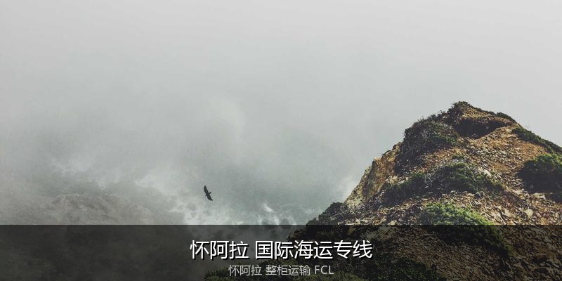 海运拼箱与整柜运输优劣对比